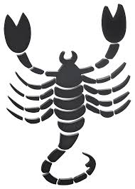 The Zodiac Sign Scorpio